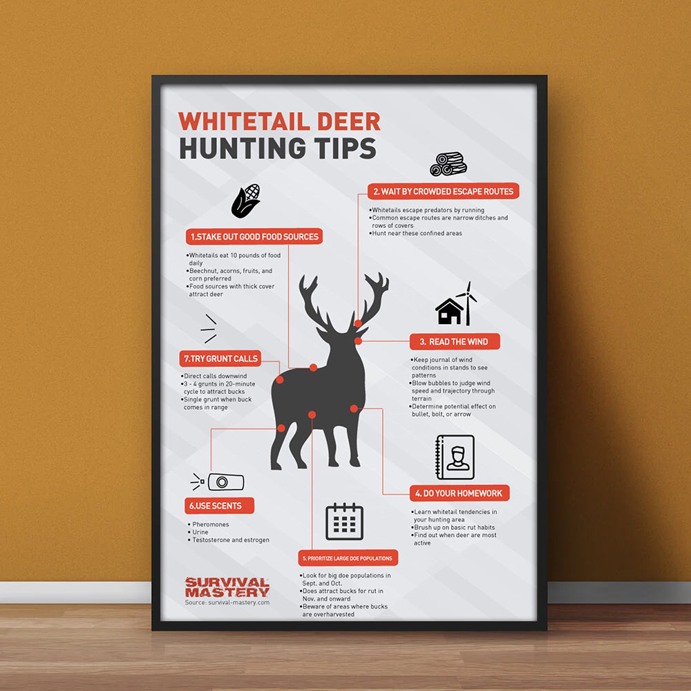 Whitetail Deer Hunting Tips Canvas Poster – Perfect Decor for Hunters – Boost Your Success in the Field