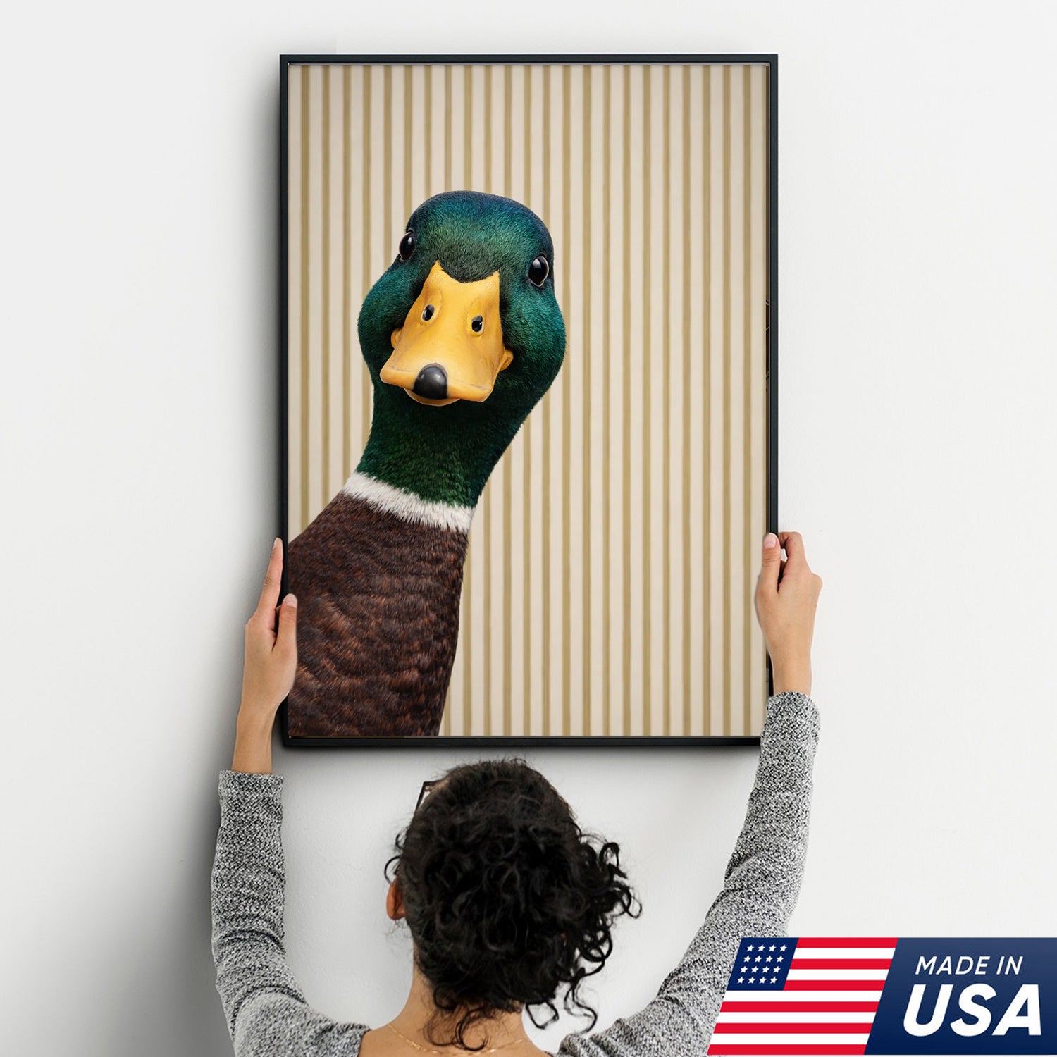 Funny Duck Wall Art Canvas Set, Whimsical Mallard Animal Triptych Print