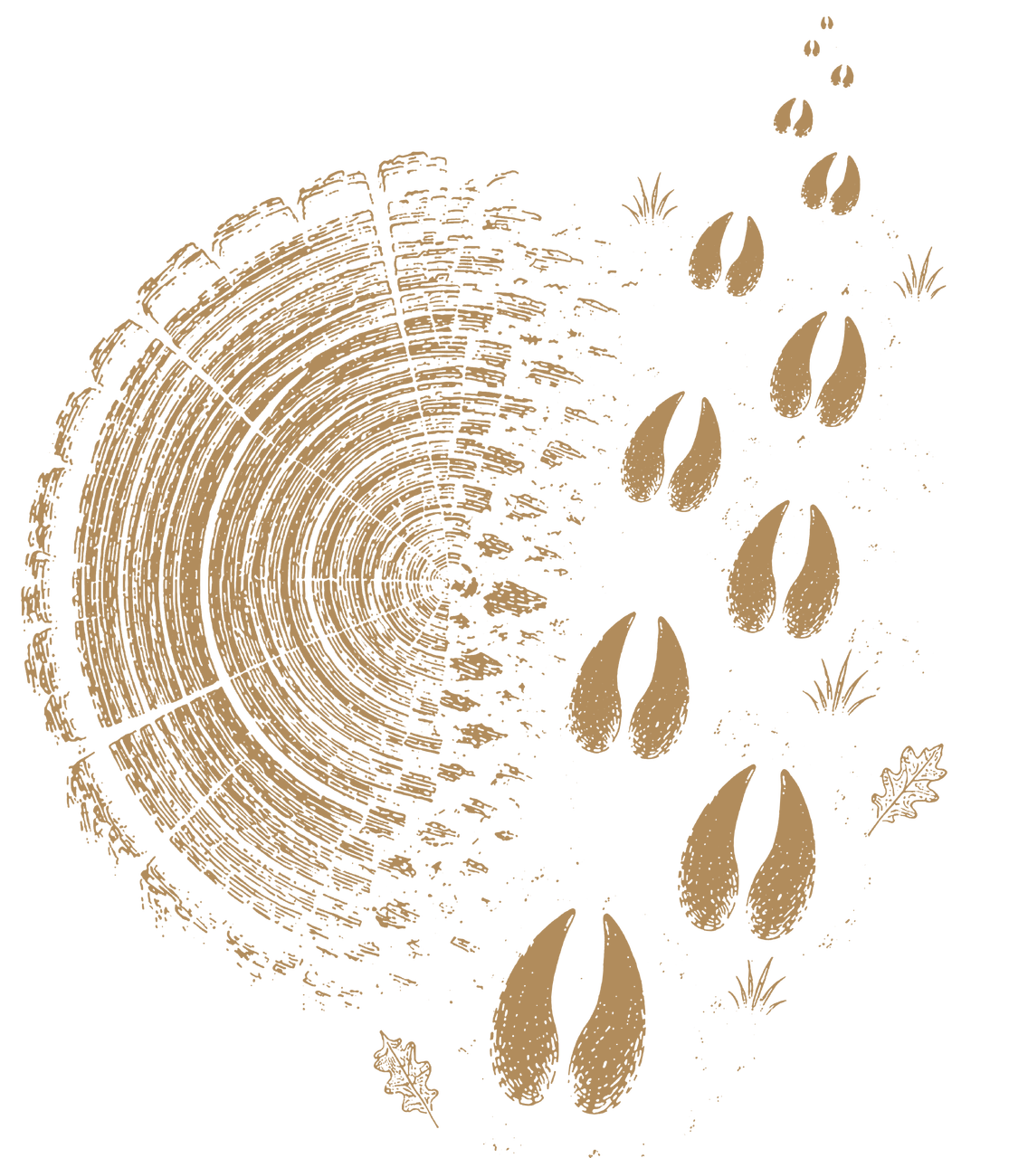 GENERAL:ANHHTV-HANGNTT-2026-07-29-17963.png