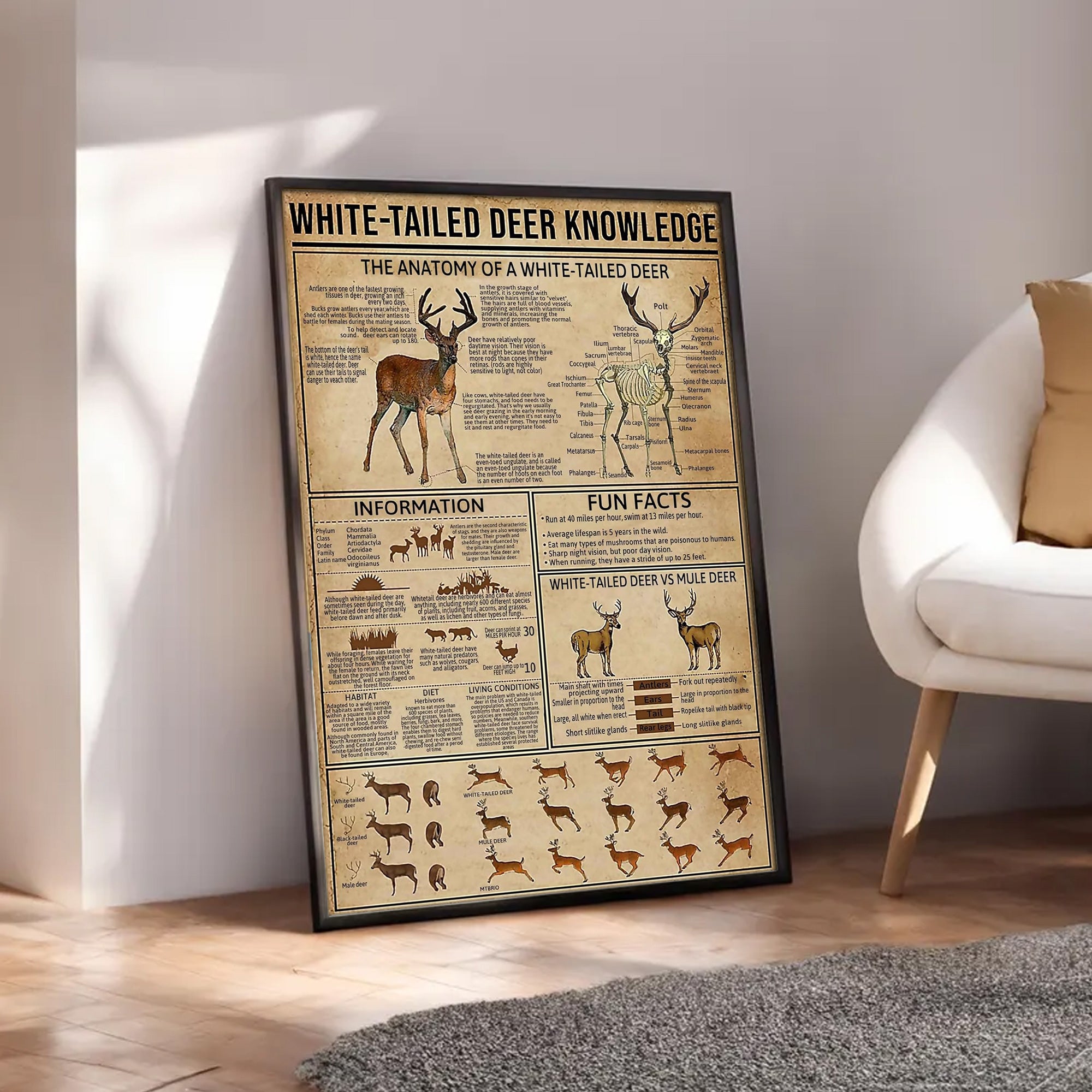 White-Tailed Deer Knowledge Canvas– Hunting Wall Art for Cabin, Lodge & Wildlife Lovers