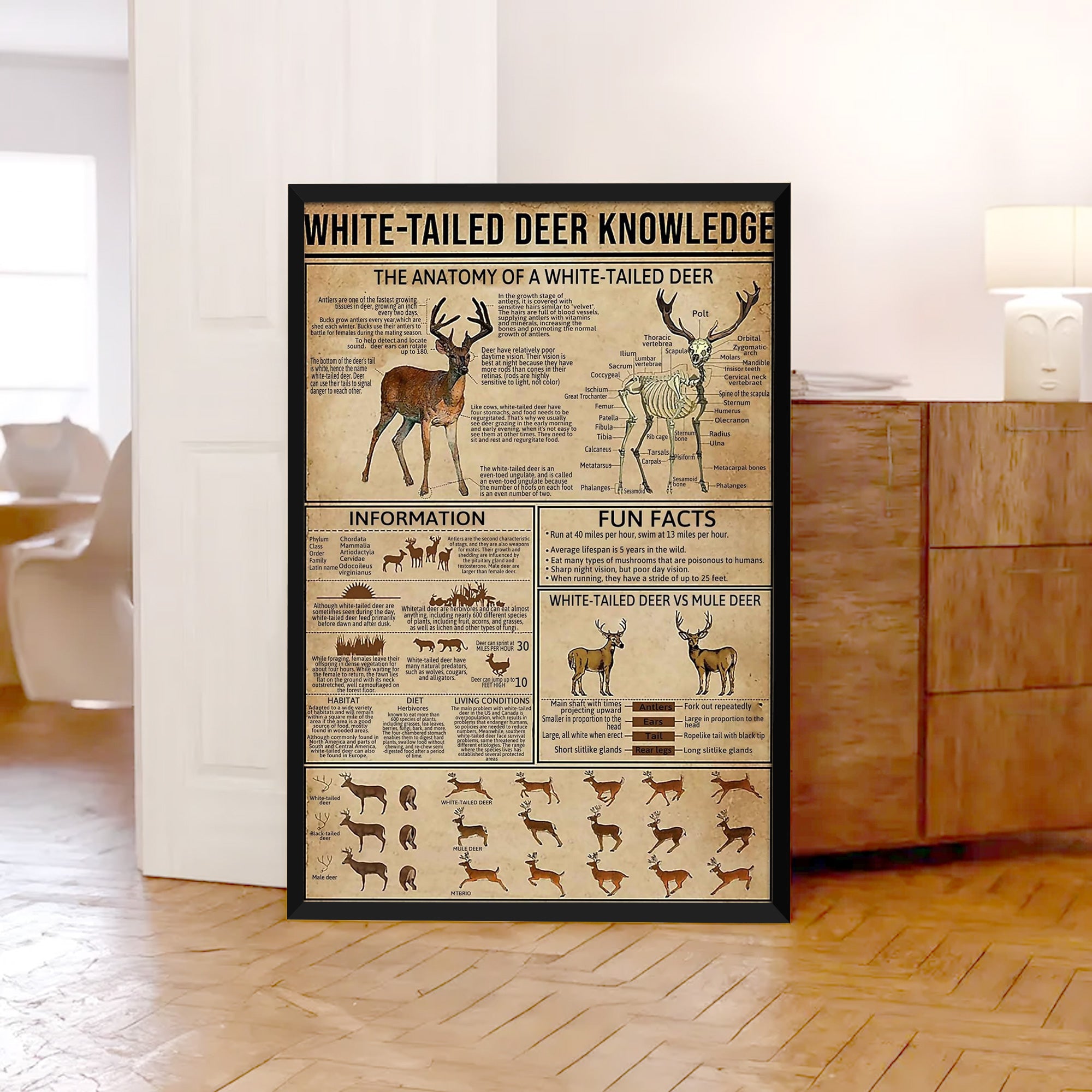 White-Tailed Deer Knowledge Canvas– Hunting Wall Art for Cabin, Lodge & Wildlife Lovers