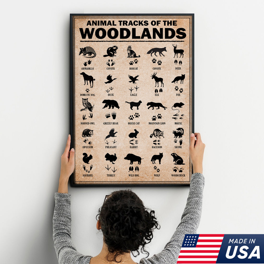 Animal Tracks of the Woodlands Canvas Wall Art, Wildlife Footprint Chart, Rustic Hunting Cabin & Educational Decor