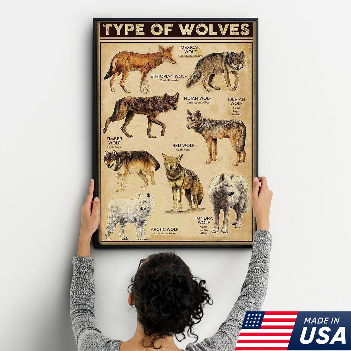 Types of Wolves Wall Art – Vintage Educational Wolf Poster – Rustic Ca ...