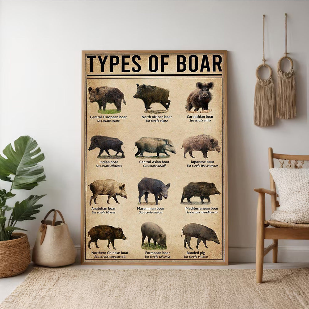 Types of Boar Hunting Canvas Wall Art – Wild Hog Species Chart Print for Hunters and Outdoorsmen