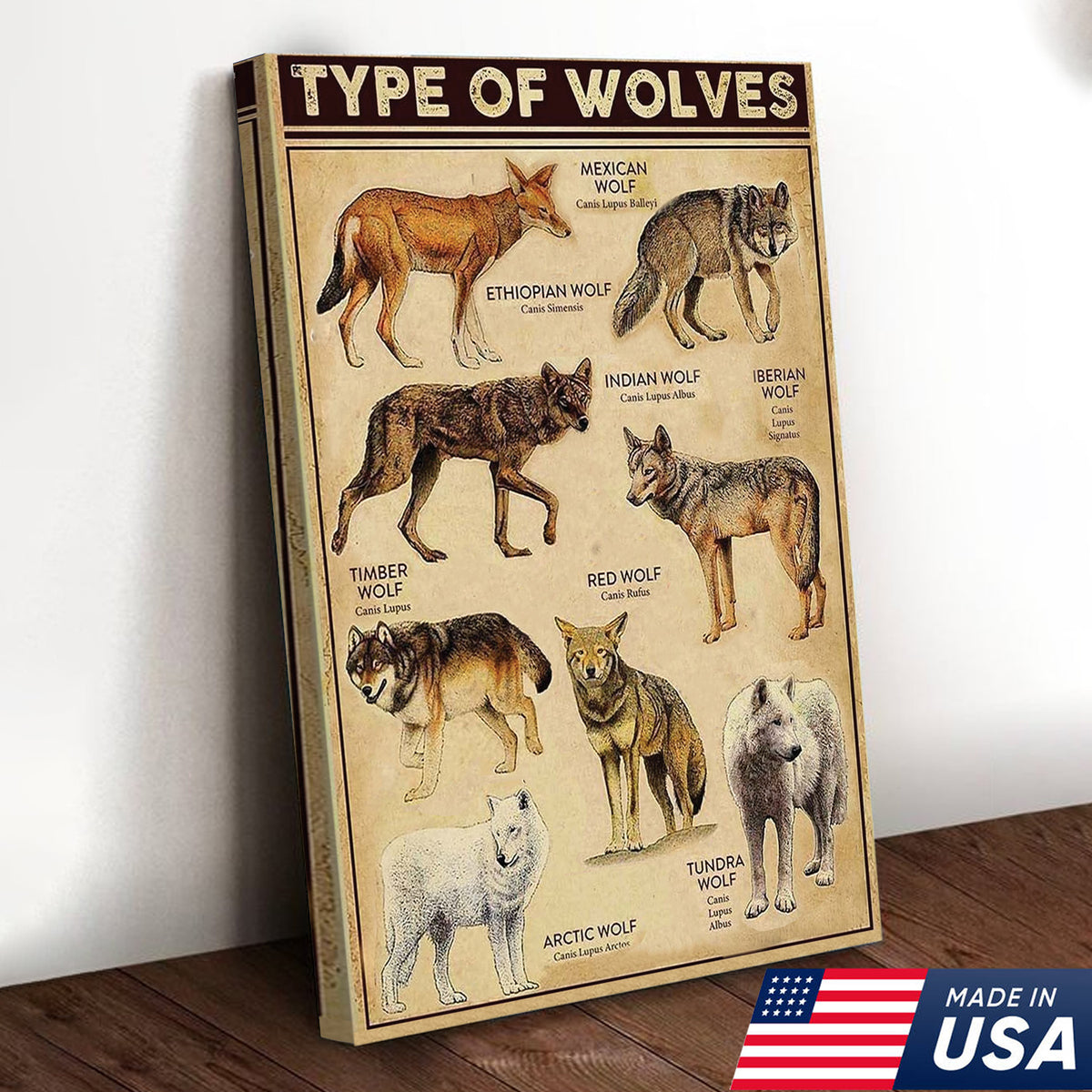 Types of Wolves Wall Art – Vintage Educational Wolf Poster – Rustic Ca ...