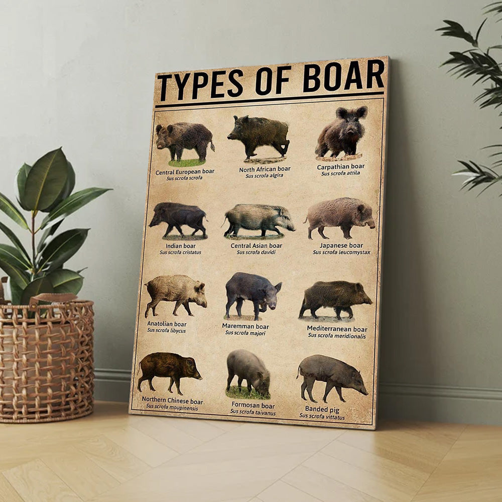 Types of Boar Hunting Canvas Wall Art – Wild Hog Species Chart Print for Hunters and Outdoorsmen