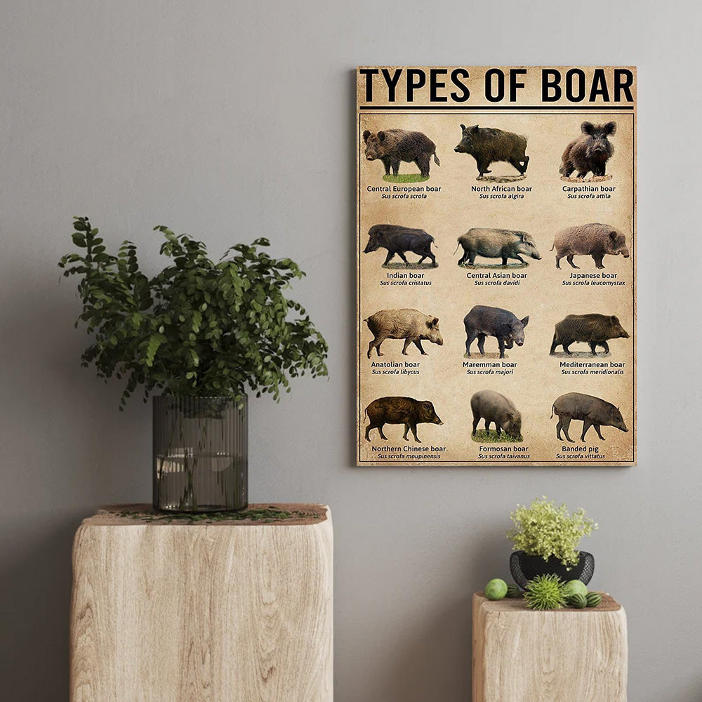 Types of Boar Hunting Canvas Wall Art – Wild Hog Species Chart Print for Hunters and Outdoorsmen