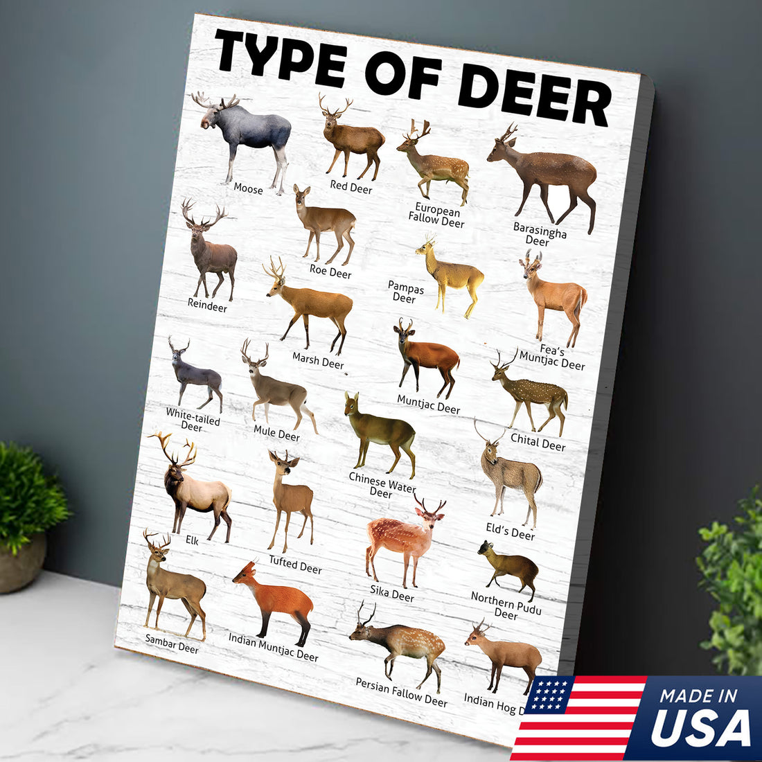 Deer Species Wall Art - Wildlife Educational Canvas - Hunting Lodge Decoration