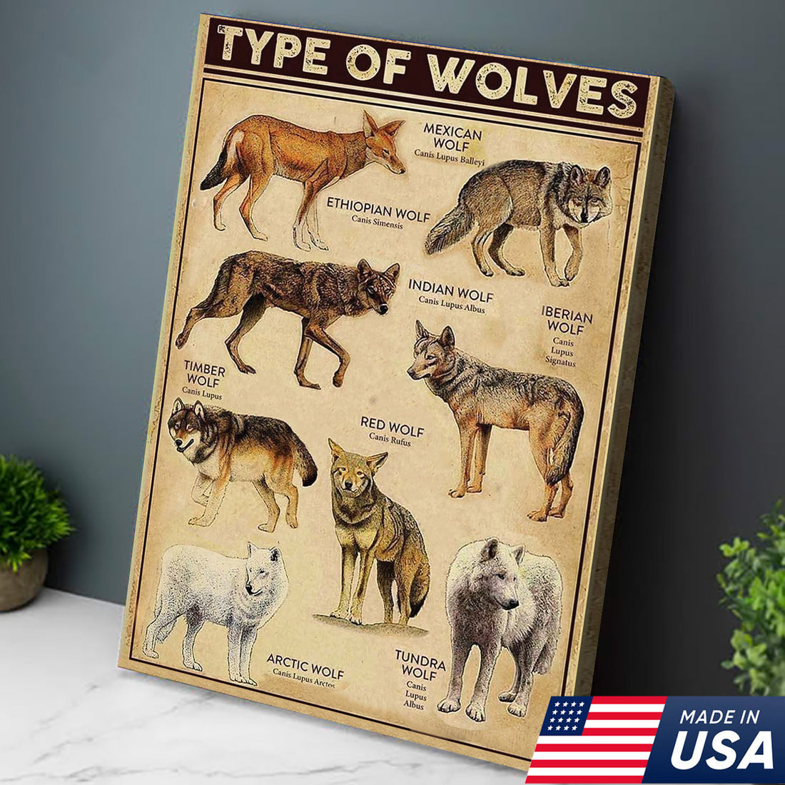 Types of Wolves Wall Art – Vintage Educational Wolf Poster – Rustic Cabin Lodge Decor – Made in USA