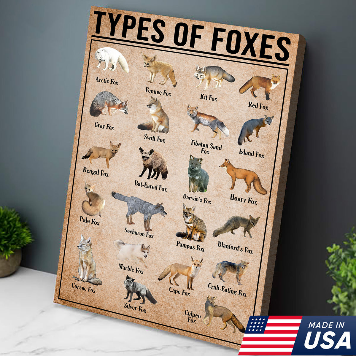Types Of Foxes Species Wall Art Canvas - Wildlife Educational Canvas ...