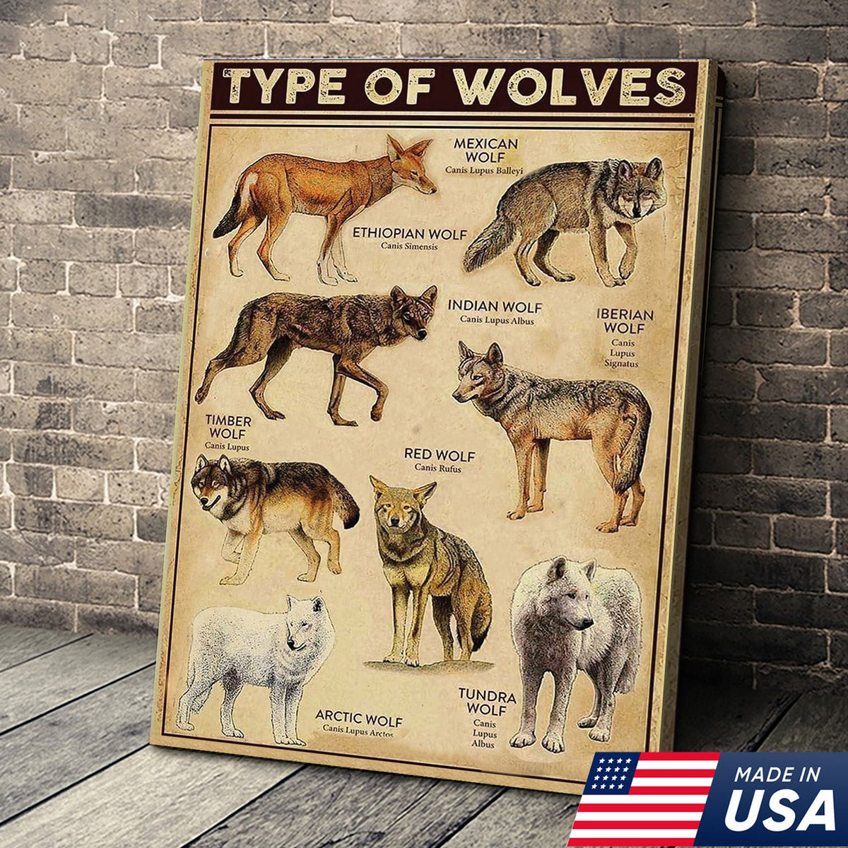 Types of Wolves Wall Art – Vintage Educational Wolf Poster – Rustic Ca ...