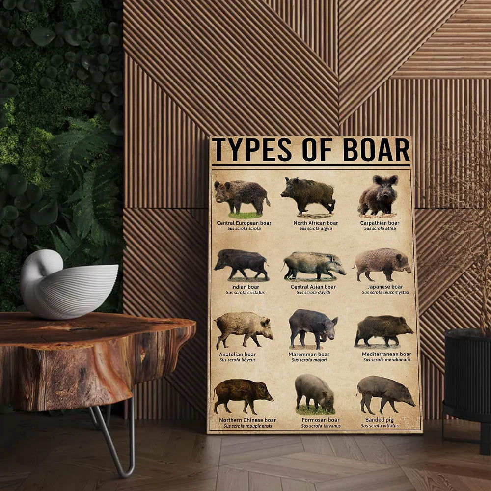 Types of Boar Hunting Canvas Wall Art – Wild Hog Species Chart Print for Hunters and Outdoorsmen