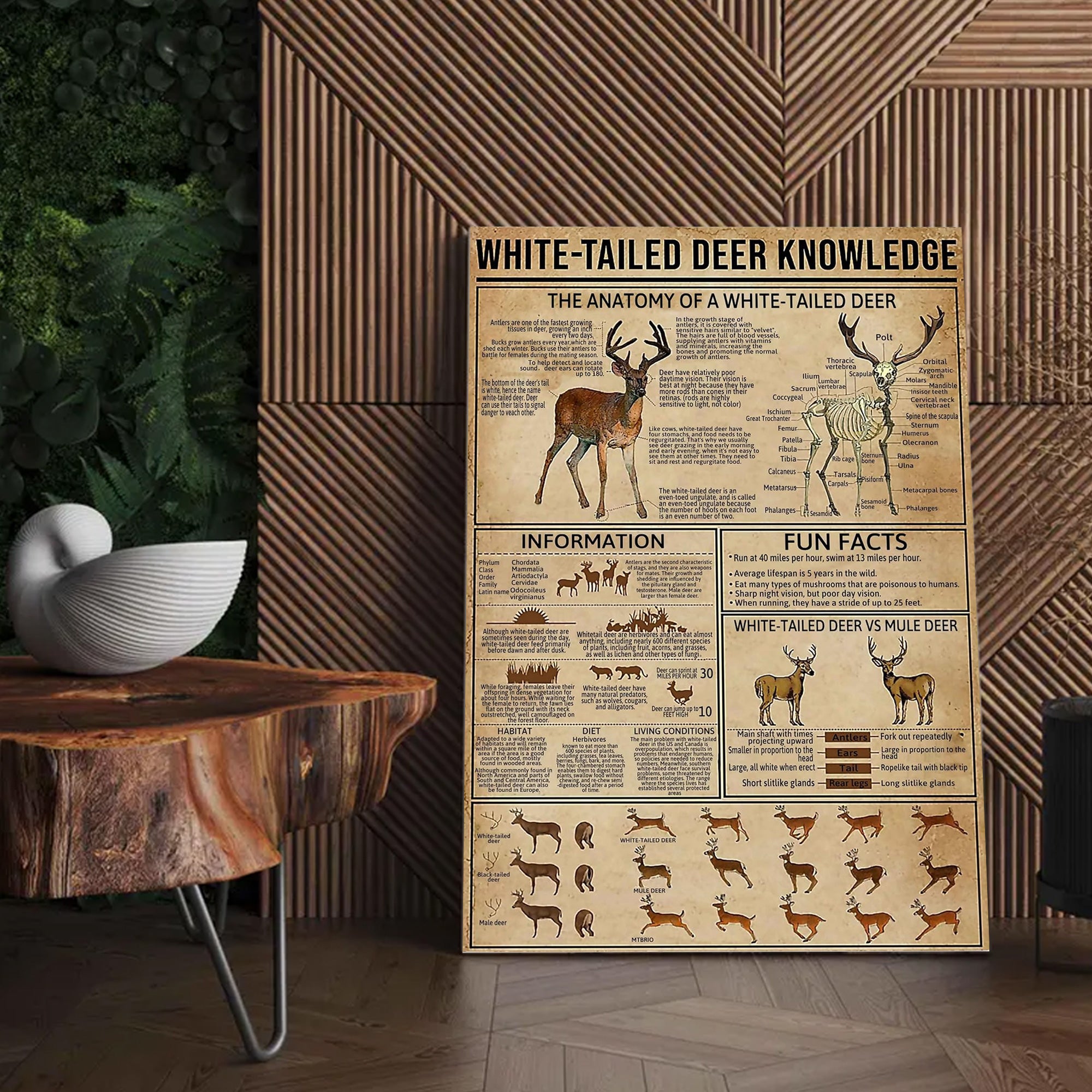 White-Tailed Deer Knowledge Canvas– Hunting Wall Art for Cabin, Lodge & Wildlife Lovers