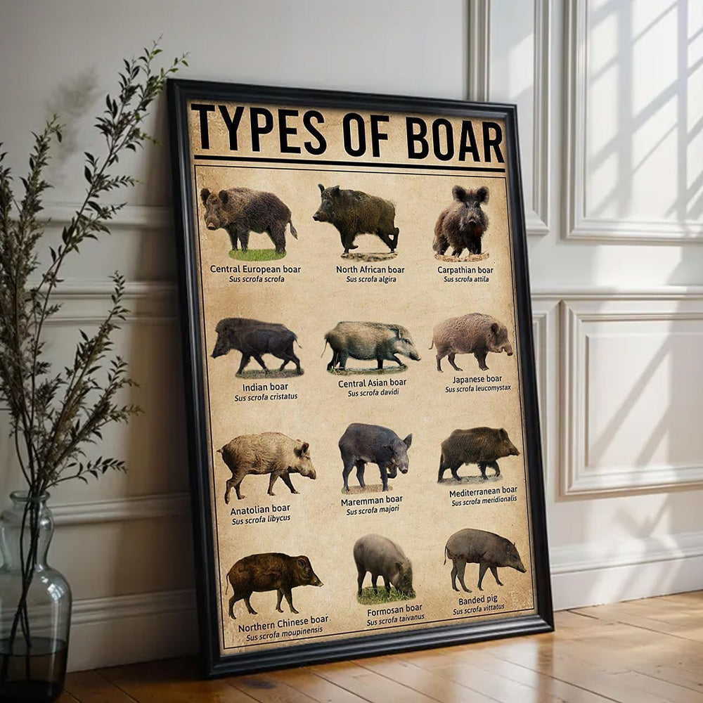 Types of Boar Hunting Canvas Wall Art – Wild Hog Species Chart Print for Hunters and Outdoorsmen
