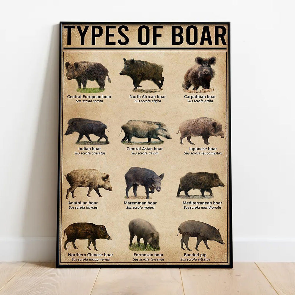 Types of Boar Hunting Canvas Wall Art – Wild Hog Species Chart Print for Hunters and Outdoorsmen