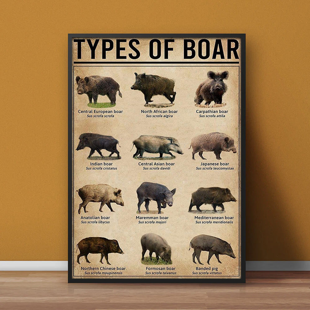Types of Boar Hunting Canvas Wall Art – Wild Hog Species Chart Print for Hunters and Outdoorsmen