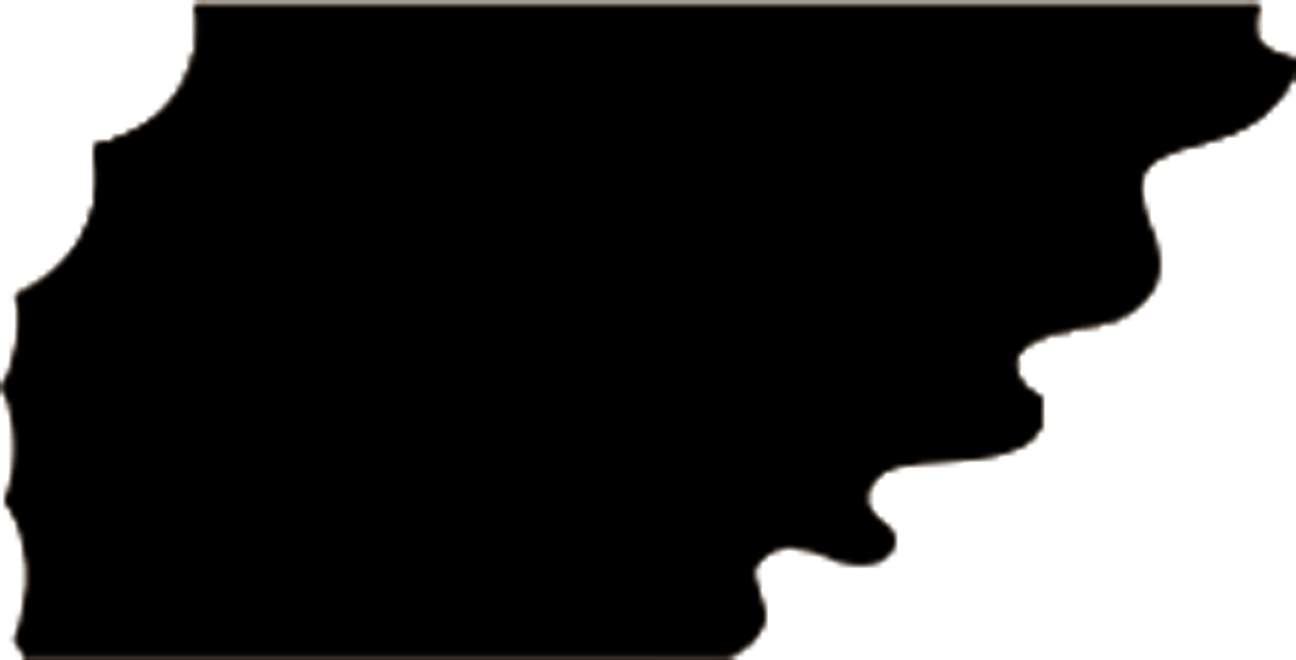 GENERAL:Layer 11.png