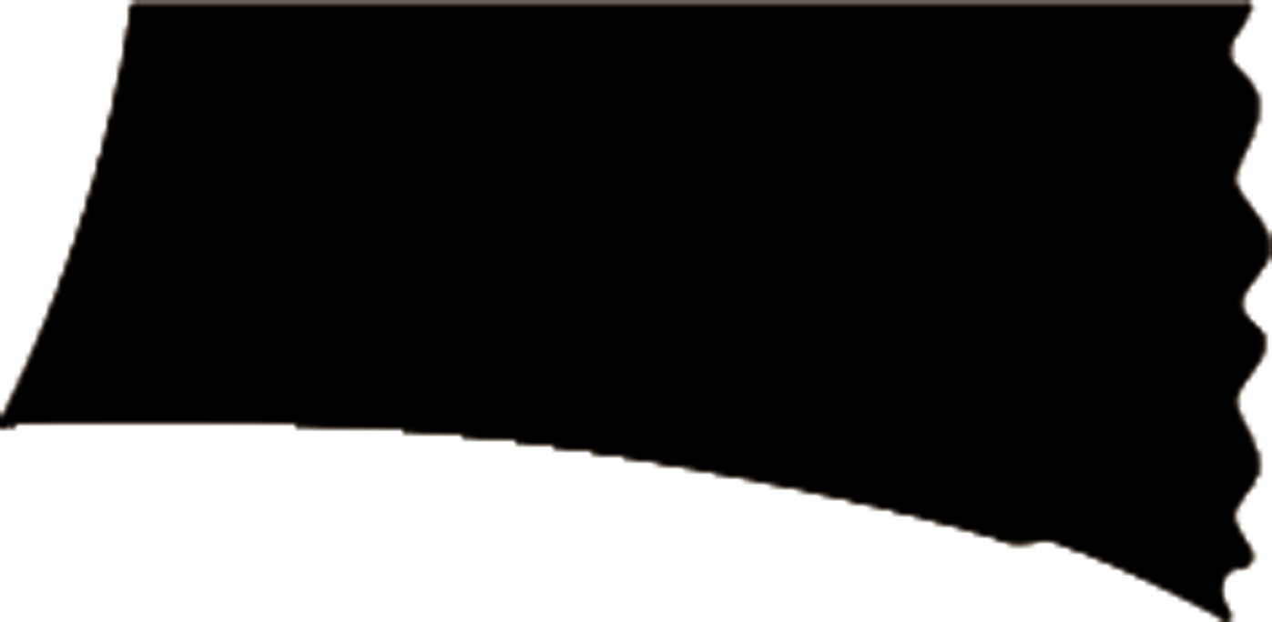 GENERAL:Layer 13.png