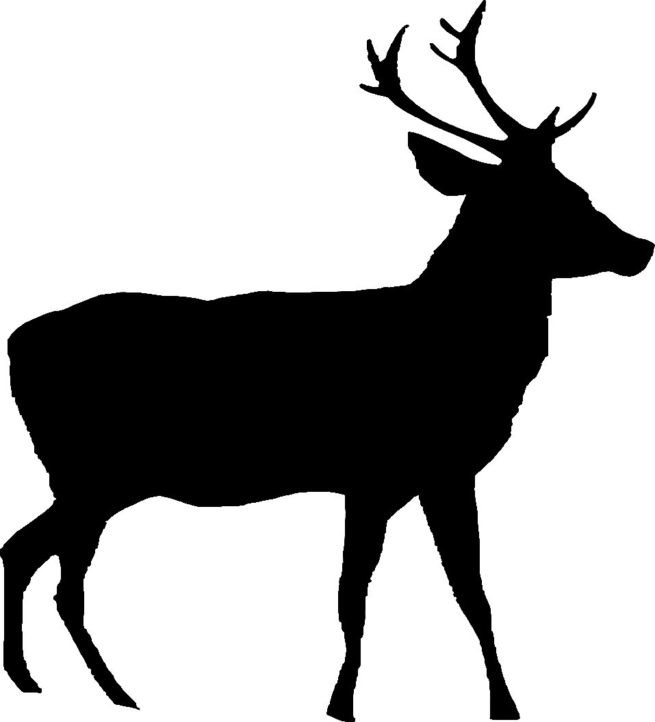 GENERAL:Layer 20.png