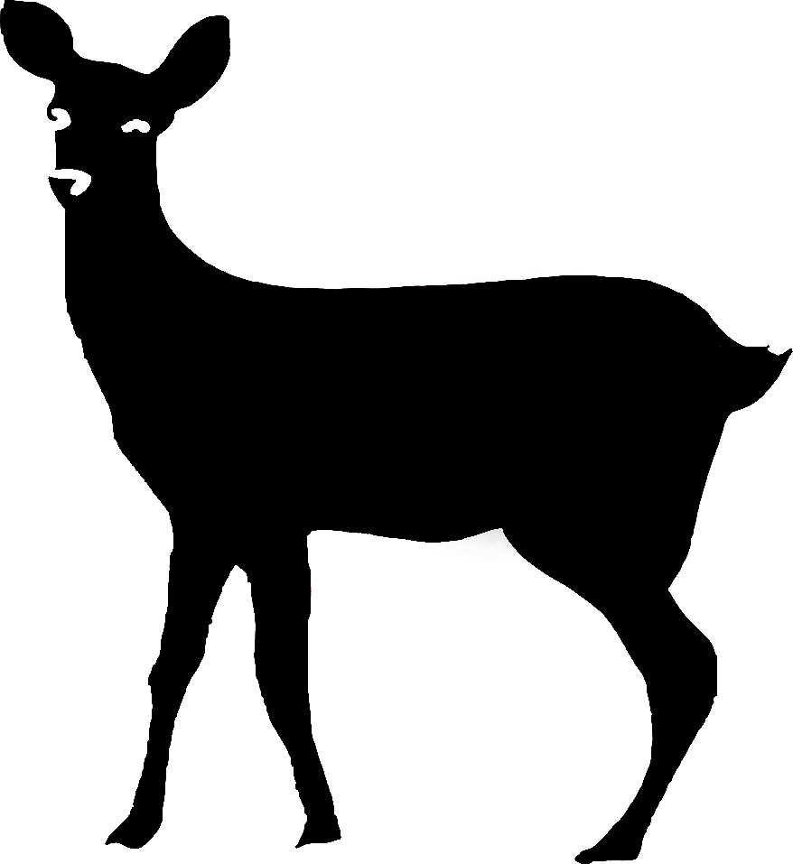 GENERAL:Layer 25.png