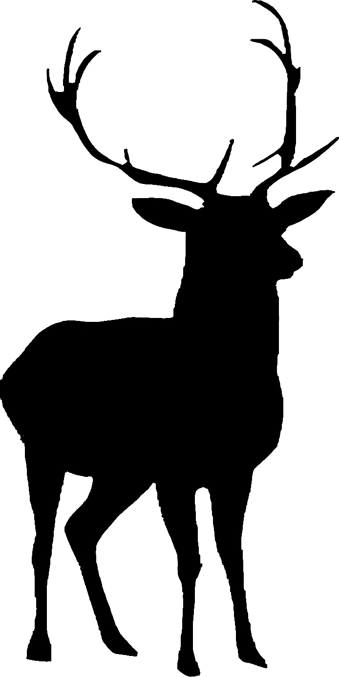 GENERAL:Layer 26.png