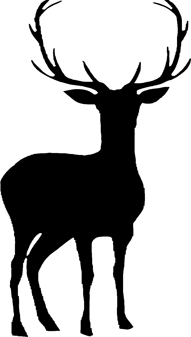 GENERAL:Layer 27.png