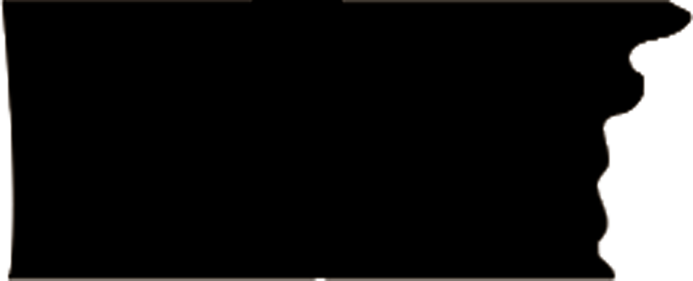 GENERAL:Layer 4.png