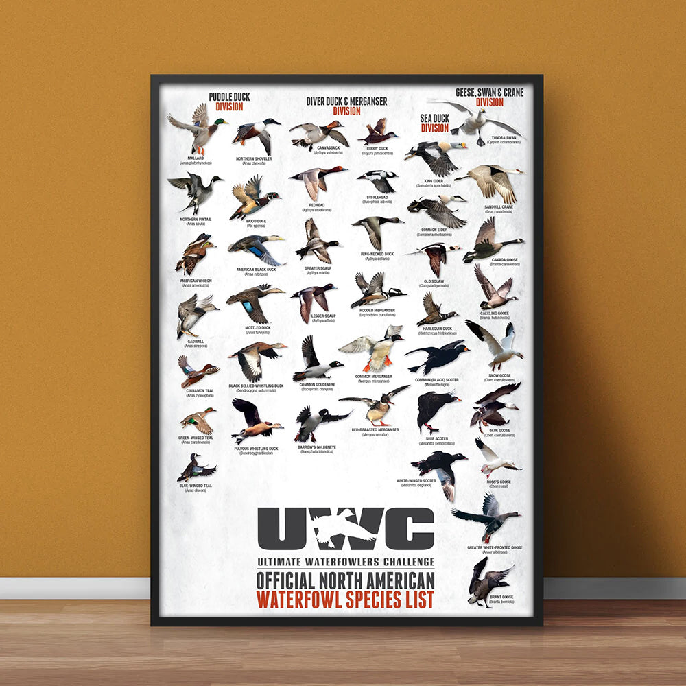 North American Waterfowl Species Poster Canvas – Duck & Goose Identification Chart - Waterfowl Poster for Hunters