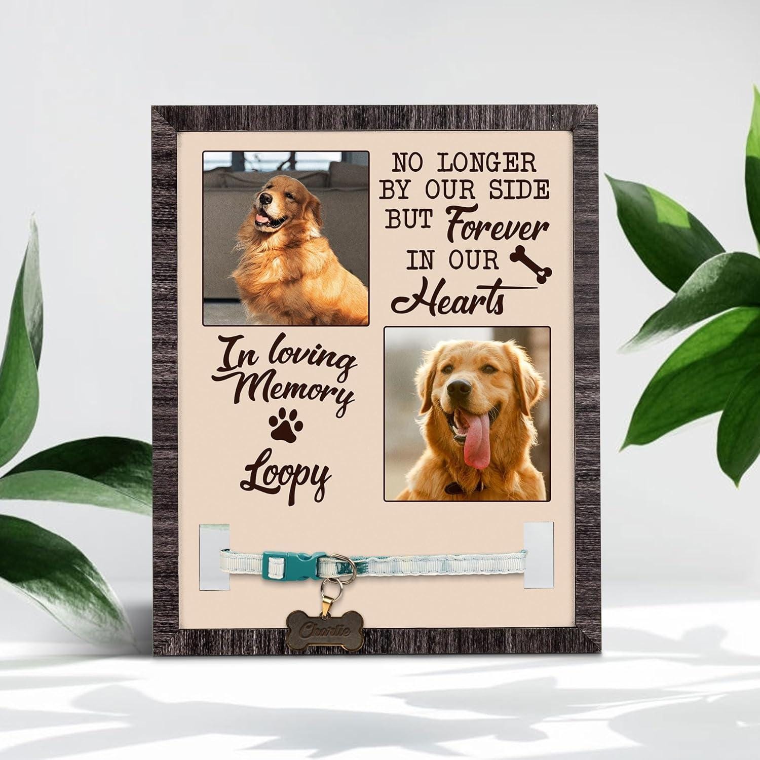 Custom Dog Memorial Photo Frame with Collar Holder, Pet Loss Gift, Dog Remembrance Keepsake, Forever in Our Hearts Tribute Pet Portrait Sign