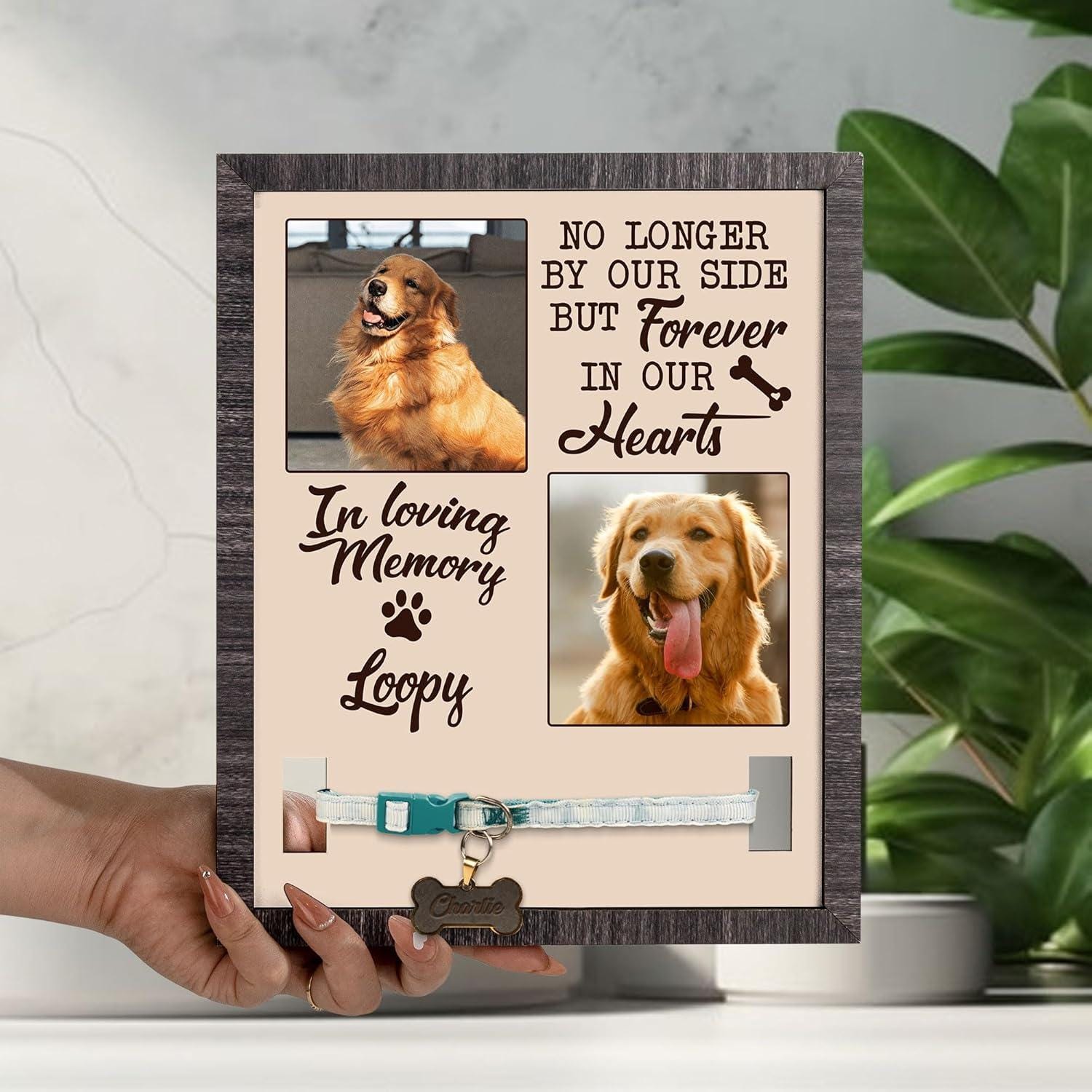 Custom Dog Memorial Photo Frame with Collar Holder, Pet Loss Gift, Dog Remembrance Keepsake, Forever in Our Hearts Tribute Pet Portrait Sign